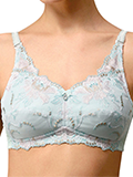 bra_img6_1_b.jpg