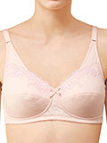 bra_img7_b.jpg
